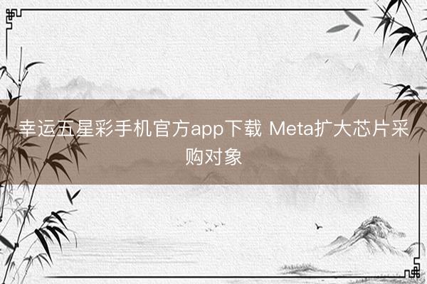 幸运五星彩手机官方app下载 Meta扩大芯片采购对象